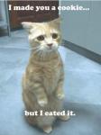 i-made-you-a-cookie-but-i-eated-it